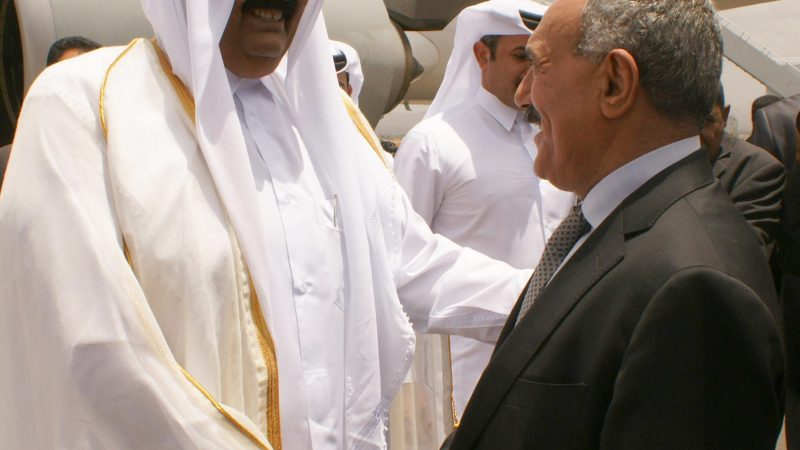 زيارة امير دولة قطر، الشيخ حمد بن خليفة آل ثاني، 13-07-2010
